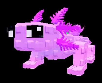 เพ็ตอโซล็อตล์ / Axolotl pet