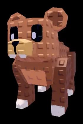 เพ็ตหมี / Bear pet