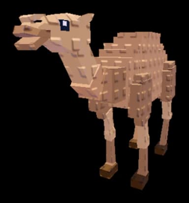 เพ็ตอูฐ / Camel pet