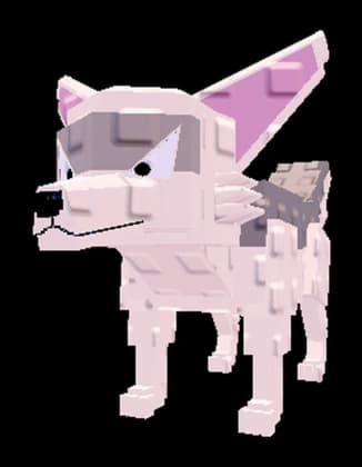 เพ็ตจิ้งจอกเฟนเนก / Fennec pet