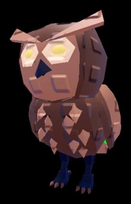 เพ็ตนกฮูกขุดโพรง / Burrowing Owl pet