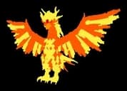 เพ็ตฟีนิกซ์ / Phoenix pet