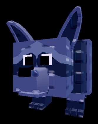 เพ็ตแรคคูน / Raccoon pet
