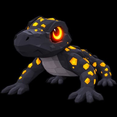 เพ็ตซาลาแมนเดอร์ / Salamander pet