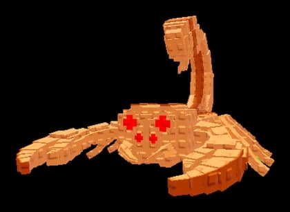 เพ็ตแมงป่อง / Scorpion pet