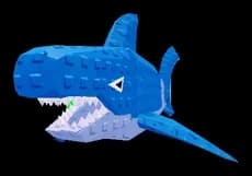 เพ็ตฉลาม / Shark pet