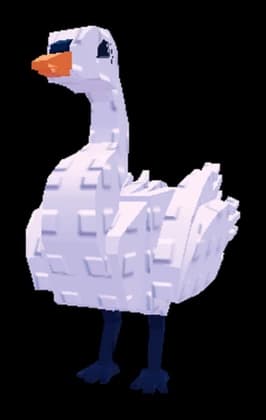 เพ็ตหงส์ / Swan pet