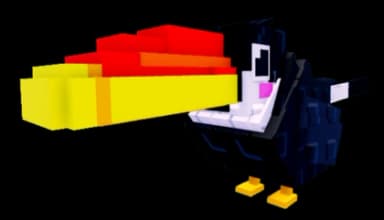 เพ็ตนกทูแคน / Toucan pet