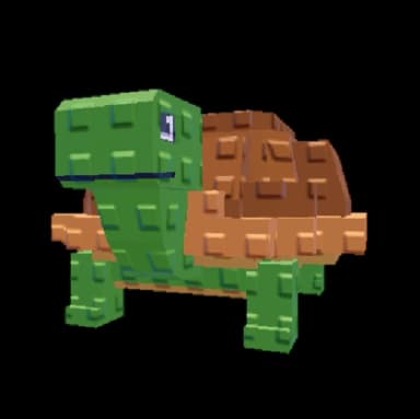 เพ็ตเต่า / Turtle pet