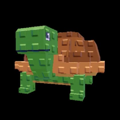 เพ็ตเต่า / Turtle pet