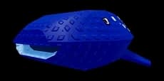 เพ็ตฉลามวาฬ / Whale Shark pet